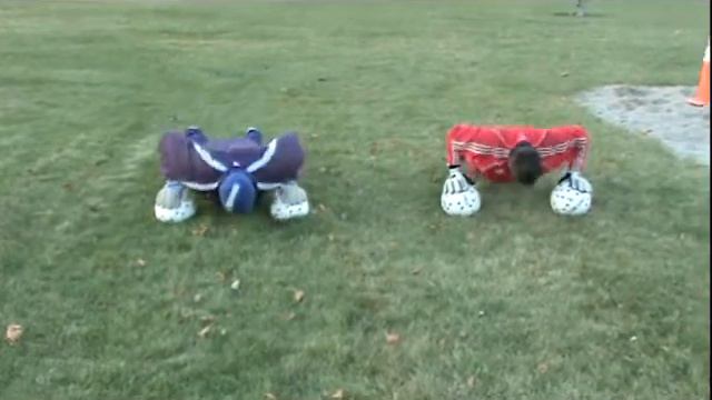 Filip Ljubevski part 2 of 3 смотреть онлайн