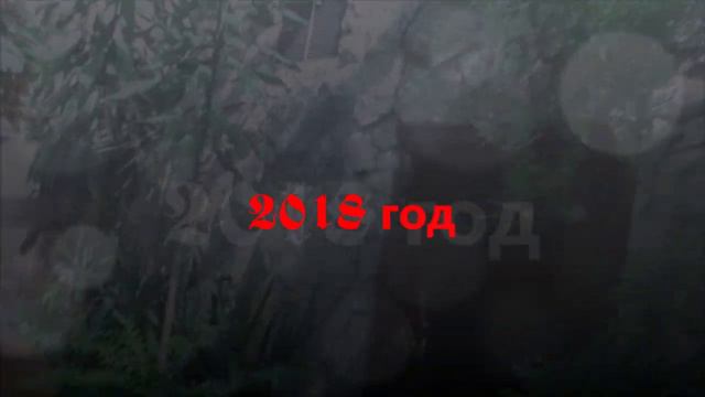 Луковый обед шимпанзе №5 Зоопарк 2022 года в Варшаве Chimpanzee Onion Lunch #5 Zoo 2022 in Warsaw смотреть онлайн