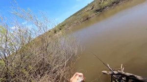 Неожиданный улов на ПРОБКУ. Рыбалка на донку весной.