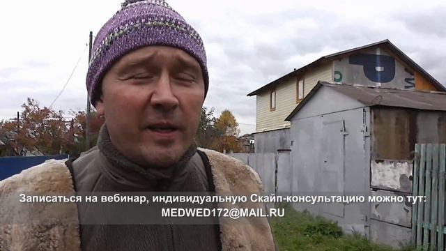 Сколько стоит ВЕБИНАР, и где моя кошка?! смотреть онлайн