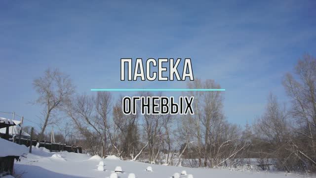 Пасека Огневых. Видео журнал. ( конец февраля, первый облет, подкормка пчел)