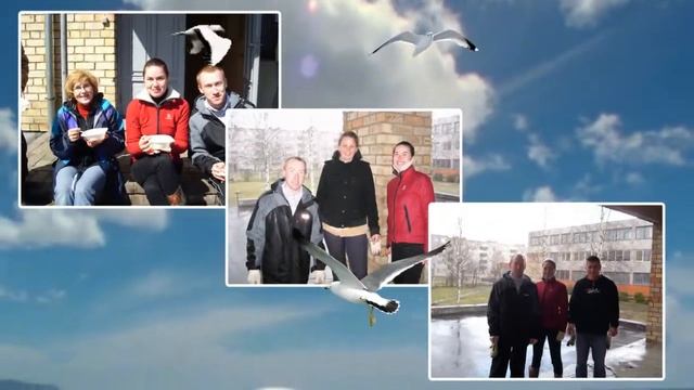 День Рождения Виктора. смотреть онлайн