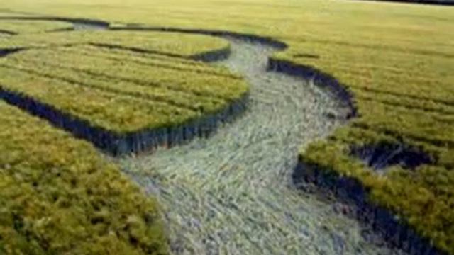 Crop Circles  Круги на полях