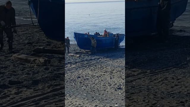 Ноябрь 2022 Чайки Дельфины Рыбаки смотреть онлайн