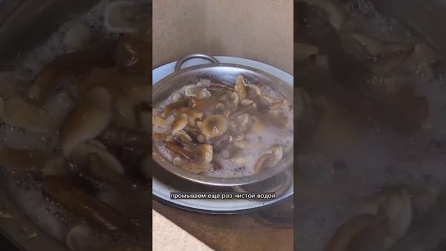 Универсальный маринад для любых грибов. Попробуйте, вам точно понравится. Маринованные грибы смотреть онлайн