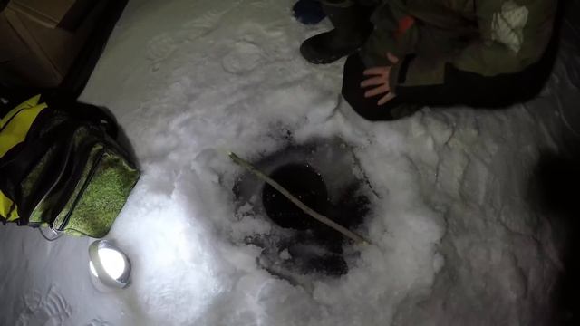 Установка и первая проверка ночных жерлиц на налима смотреть онлайн