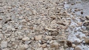 Рыбалка на Севере Забайкалья. Ленок на реке Чара.