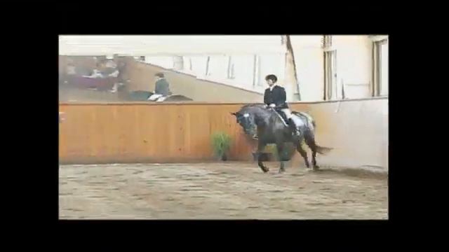 Royal Prince (by Rohdiamant x Prince Thatch xx) смотреть онлайн