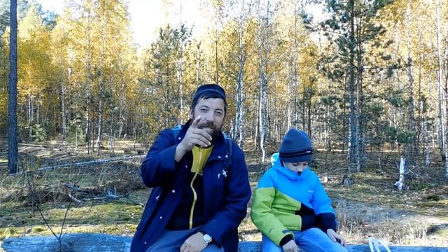 Сбор зеленок (рядовок) . Встреча с дятлом .