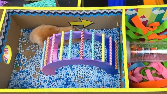 Hamster Escape Key Jumbo Josh Maze |? Obstacle Course смотреть онлайн