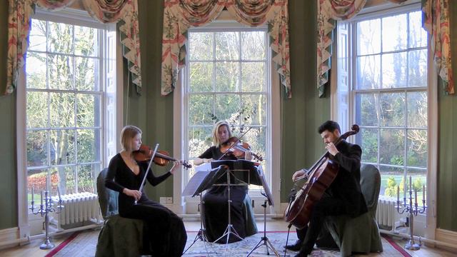 Salut D'Amour Composed By Edward Elgar - Wedding String Trio