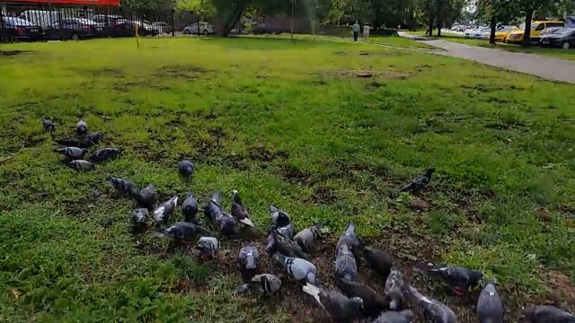 ОНИ ЖДАЛИ ЕГО ВОЗВРАЩЕНИЯ... ПРОГНОЗ 6 8 18... смотреть онлайн