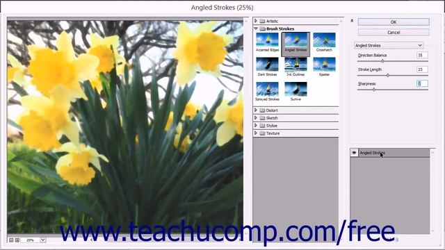 Photoshop Elements 13 Tutorial Filters & the Filter Gallery Adobe Training смотреть онлайн