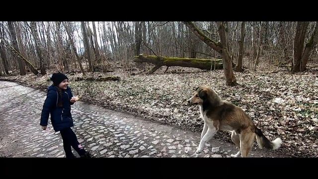 Весенняя прогулка возле замка "Бальга" смотреть онлайн