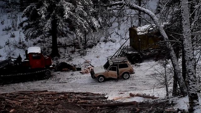 Оклад медведя и охота на лося - волки рядом смотреть онлайн