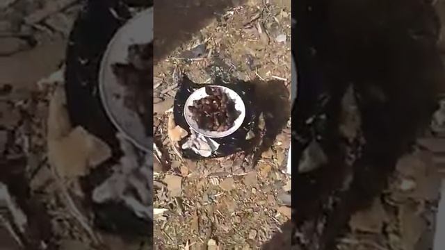 Владивосток дача смотреть онлайн