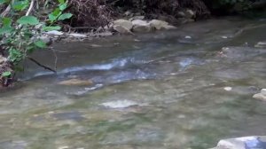 Красивые места Краснодарского края ?