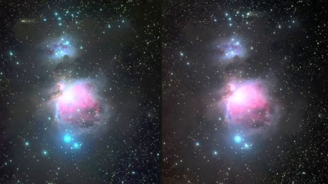 I Stayed Up Late To Watch The Stars