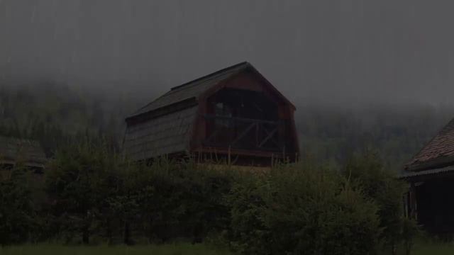 Звук дождя для сна - Расслабляющий шум дождя в безмолвном туманном лесу смотреть онлайн