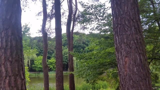 Отдых продолжается ☺ смотреть онлайн