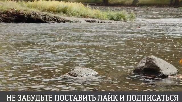 Женская сущность она такая...Интересные истории из жизни. Аудиорассказ смотреть онлайн