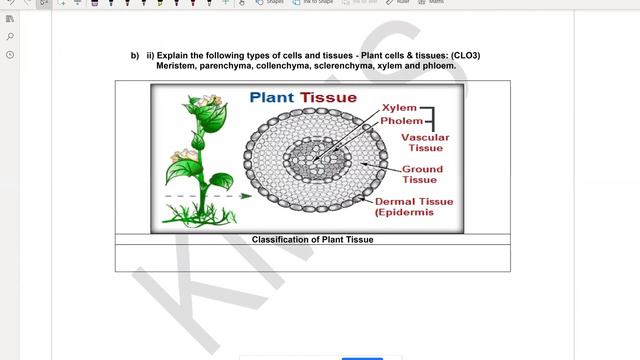 2 0 animal tissue to plant tissue and a bit transport смотреть онлайн