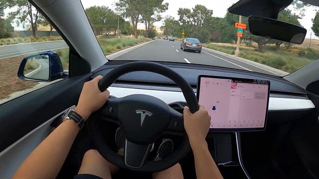 Tesla Model Y PERFORMANCE POV Touchless Test Drive смотреть онлайн