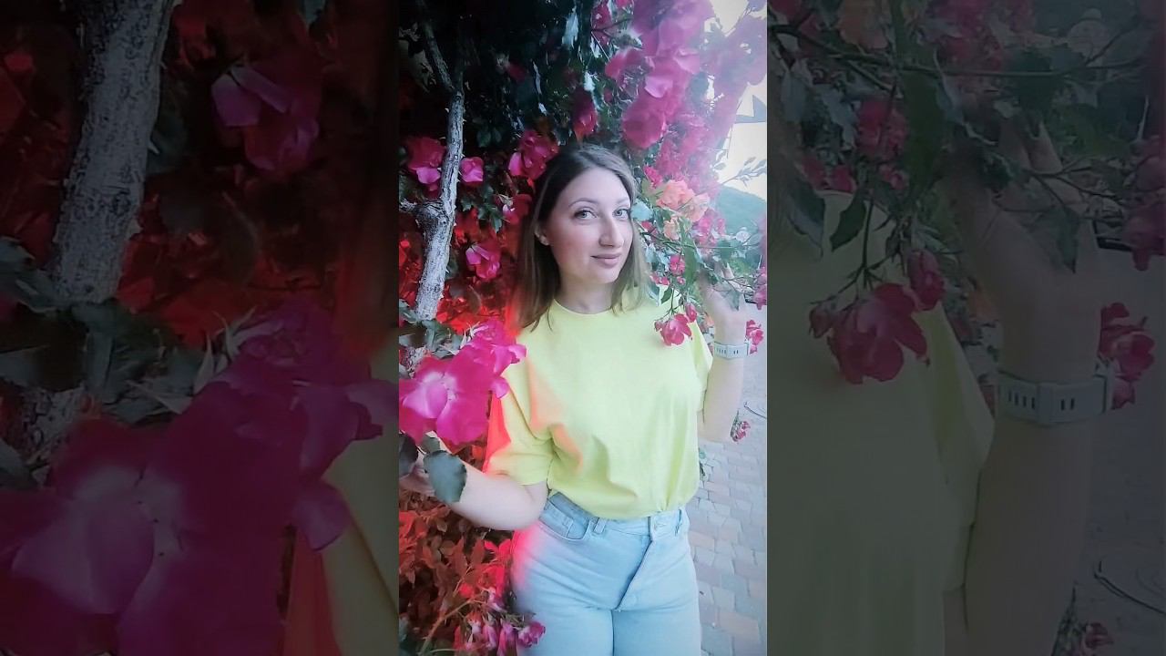 невозможно пройти мимо таких роз, rosebushes.ru смотреть онлайн