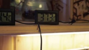 Работа БК-51 от Ректифай с царгой от Селиваненко