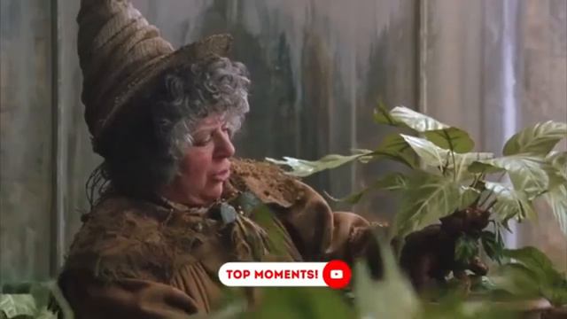 МС ПЕТЯ Я ЖИВИИЙ ГАРРІ ПОТТЕР смотреть онлайн