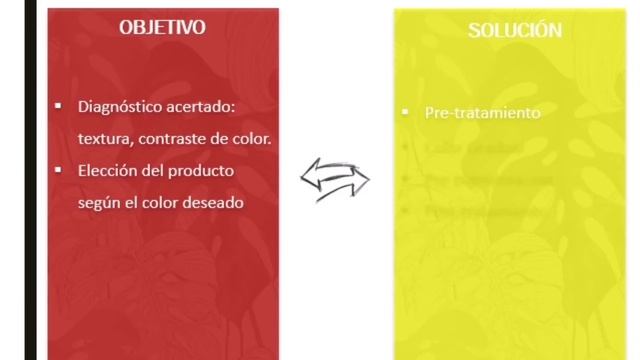 3 Tips Para La Recuperación Del Color ECHOSLINE