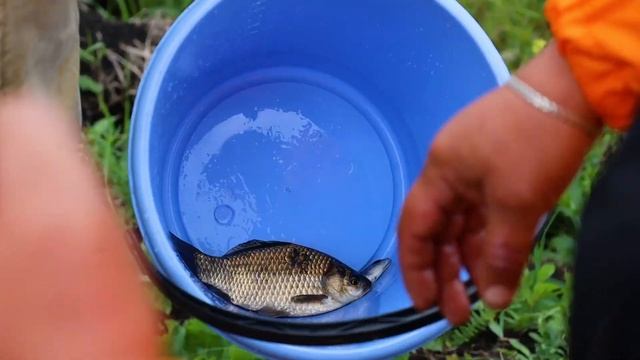 Мама, папа, я - рыболовная семья смотреть онлайн