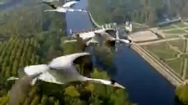 Аисты улетают в теплые края смотреть онлайн