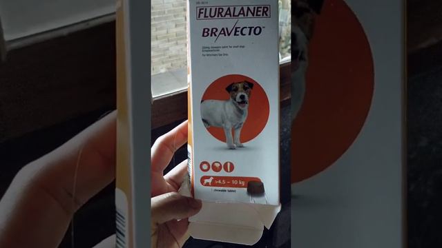 SHOPPEE COMPLAIN смотреть онлайн