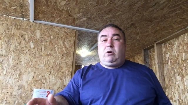 Тонкости породы Советская Шиншилла смотреть онлайн