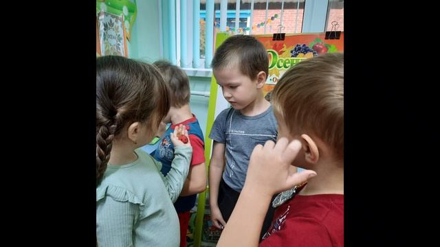 Познавательно-исследовательская деятельность в средней группе "Насекомые" смотреть онлайн