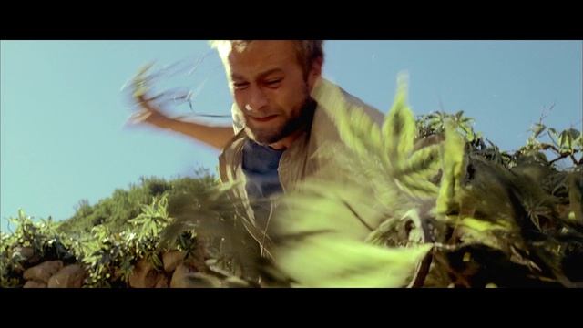 Как Победить ПЛОТОЯДНЫЕ ЛИАНЫ из Фильма "РУИНЫ" | Растения-Убийцы против ТУРИСТОВ смотреть онлайн