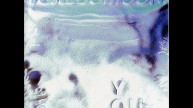 Tuxedomoon - Boxman (Mr Niles) смотреть онлайн