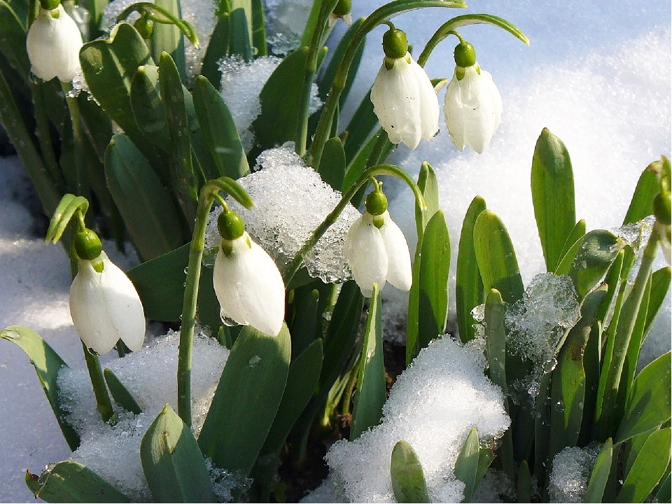релакс смотреть онлайн