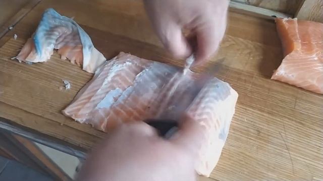 Наука о Животных и их Поведение