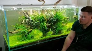 АКВАСКЕЙП ДЛЯ ЛЕНИВЫХ. 300 литров. Обслуживание и Стоимость