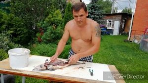 Разделка осетра, удаление визиги.