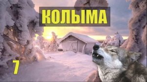 Зеки СБЕЖАЛИ из ЗОНЫ ПОБЕГ из ТЮРЬМЫ ЗАКЛЮЧЁННЫЕ СУДЬБА  ЖИЗНЬ в ТАЙГЕ КОЛЫМА ОТШЕЛЬНИК и ВОЛК 7