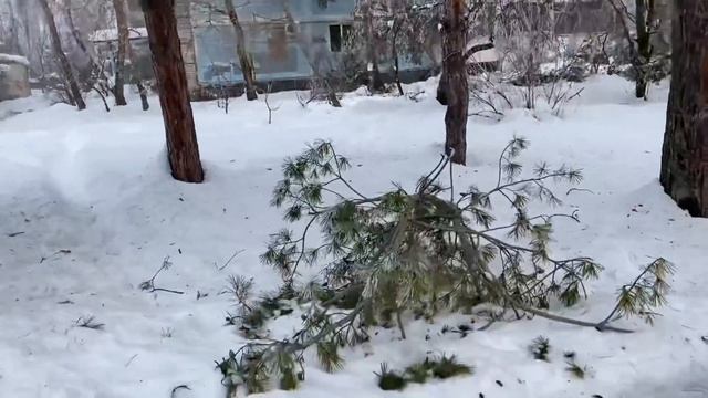 ВЛОГ ИНОГДА НЕ МЕШАЕТ И ПОВОРЧАТЬ!!!