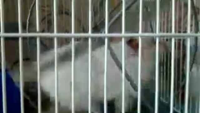 Видео0009 смотреть онлайн