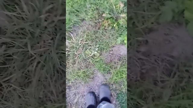 продолжение Зомби War сначала часть 2 смотреть онлайн