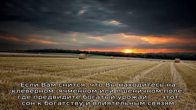 Зима поле смотреть онлайн