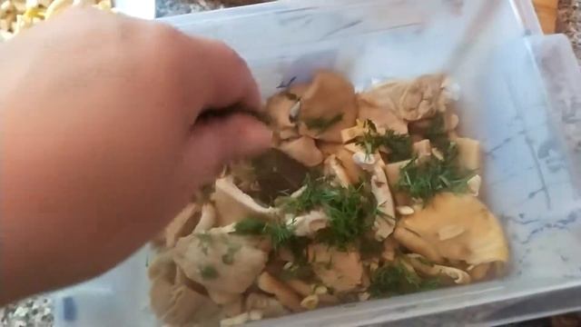 Фотография Моды и Глянцевых Журналов