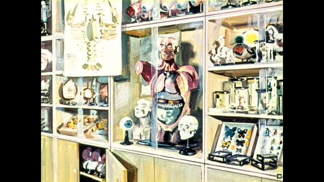 Диафильм Интерьер /к урокам развития речи в 5 классе/ смотреть онлайн