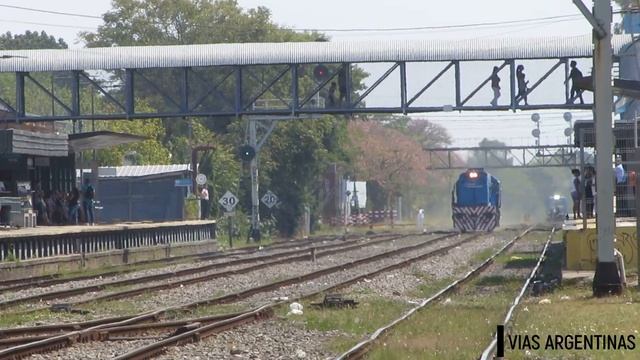 ¡VIAJE DE PRUEBA! | EMD GM GT22 9040 volando por Caseros!!! 01-03-2023 смотреть онлайн